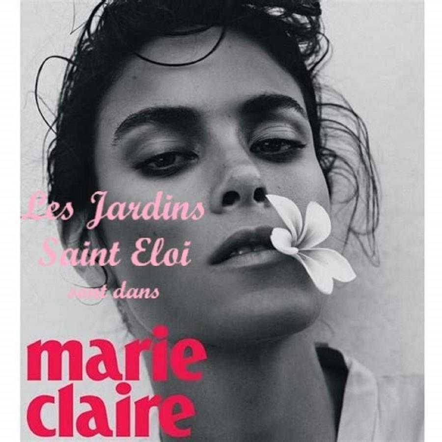 Maison D'Hotes Les Jardins Saint Eloi Le Lonzac 外观 照片
